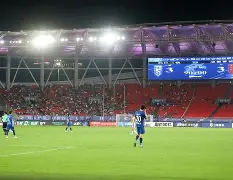 关于板球公开赛掀起高潮，江南雷豹队读秒扳平辽东雄狮队，高压逼抢奏功——更衣室氛围正向的信息