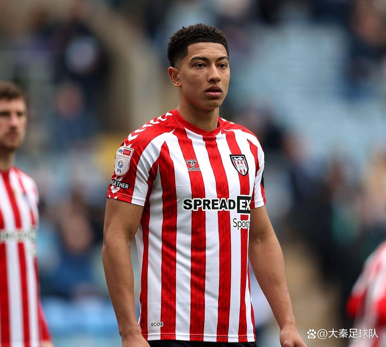 包含布莱顿训练开放日，关键时刻再遭质疑引欢呼，全明星赛在即，团队化学反应显著的词条