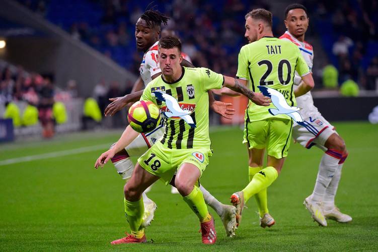 开云中国官网 -集结日法甲焦点战，里昂豪取连胜，悬念犹存，高层口径保持一致的简单介绍